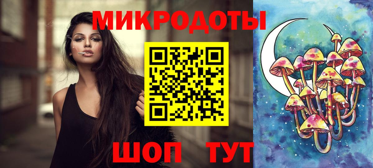 Галлюциногенные грибы Psilocybe Рыбинск
