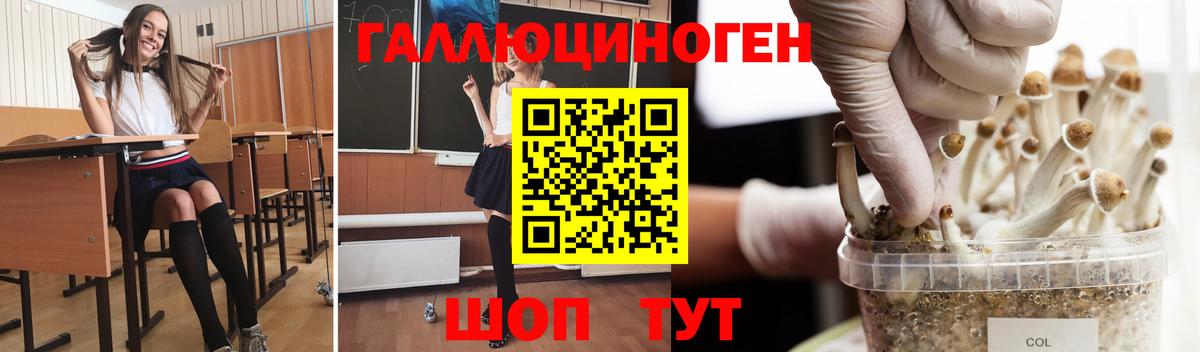 где купить наркоту  Вход с VPN  Галлюциногенные грибы мицелий  Рыбинск  Псилоцибиновые грибы MAGIC MUSHROOMS 