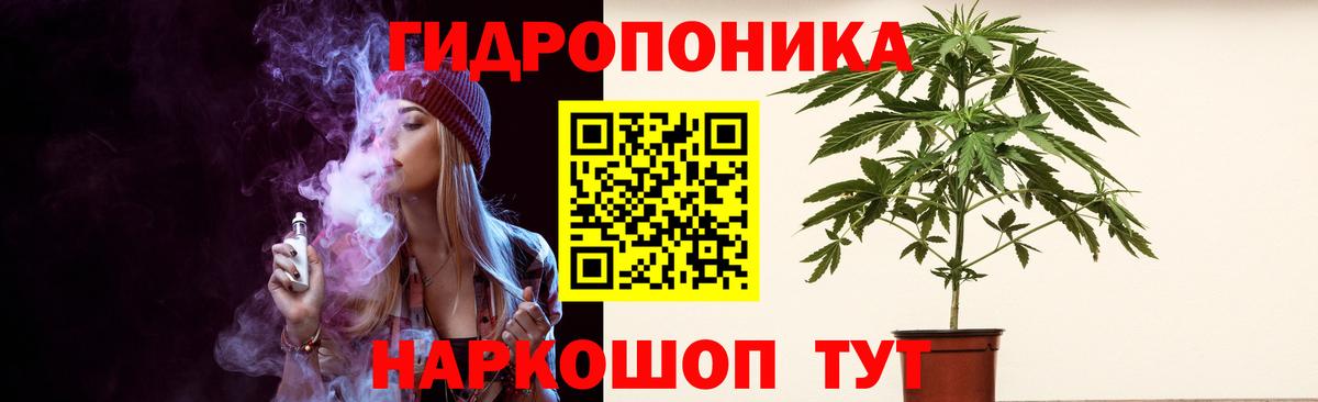 Бошки марихуана Bruce Banner  Вход с VPN  Канабис White Widow  Рыбинск  Марихуана индика 